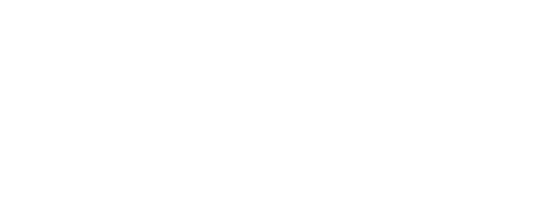 logotipo destino china en color blanco